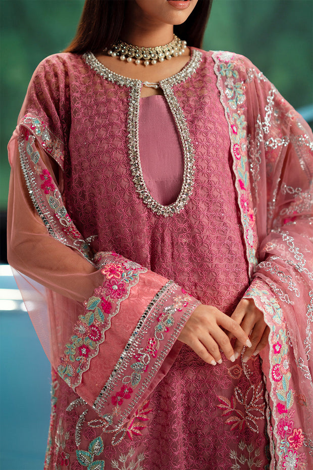 Sea Green Embroidered Net Ensemble Pakistani Dress