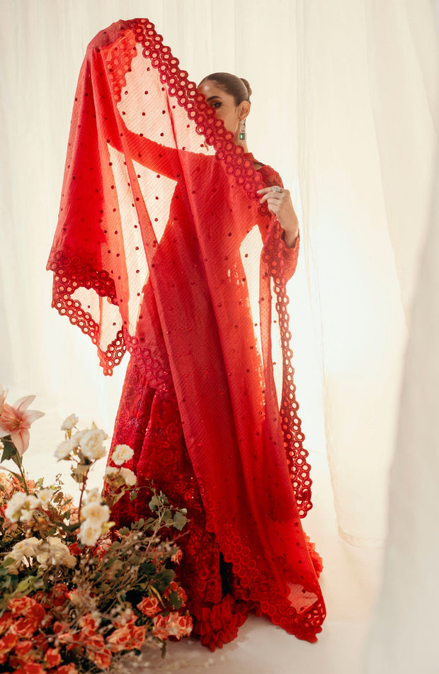 Elegant Organza Embroidered Pakistani Bridal Outfit