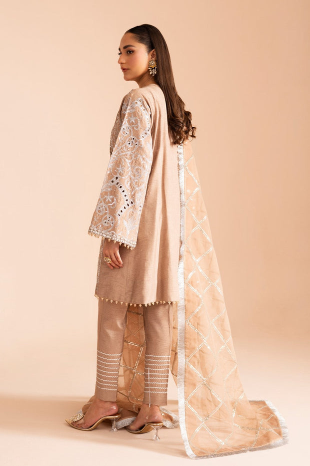 Elegant 3-Piece Pakistani Dress