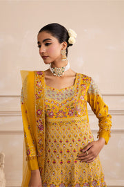 Elegant Anarkali Kalidar With Flared Pants