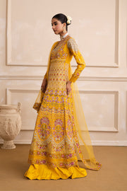 Elegant Anarkali Kalidar With Flared Pants