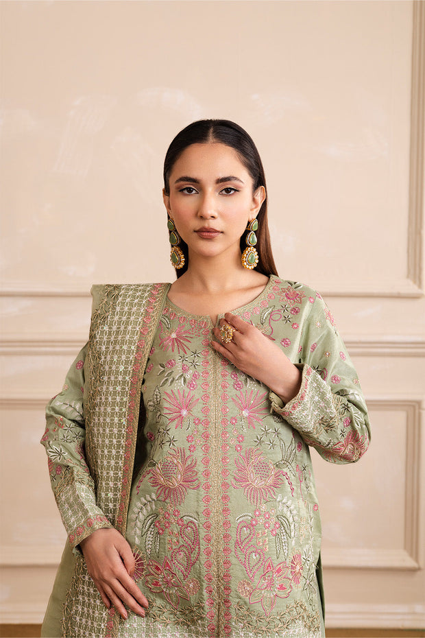 Grey Embroidered Ensemble Pakistani Dress