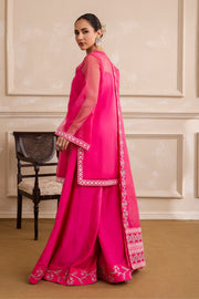 Beige Embroidered Ensemble Pakistani Party Dress