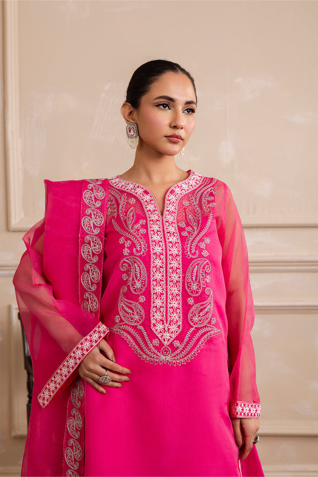 Beige Embroidered Ensemble Pakistani Party Dress