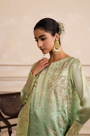 Embroidered Organza Ensemble
