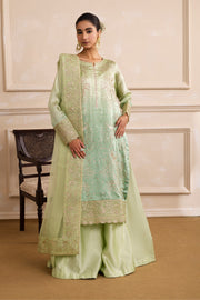 Embroidered Organza Ensemble