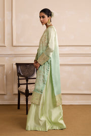 Embroidered Organza Ensemble