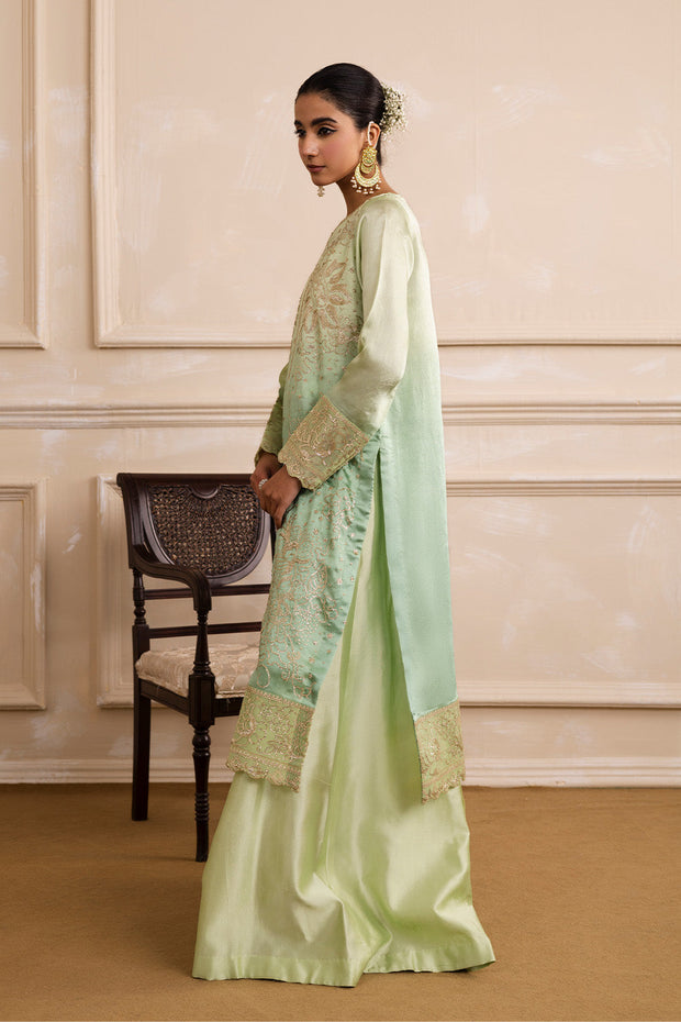 Embroidered Organza Ensemble