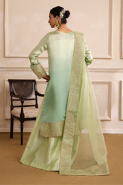 Embroidered Organza Ensemble