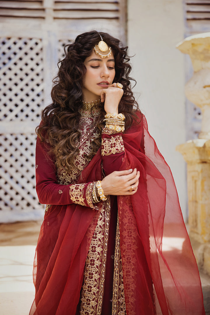 Maroon Raw Silk Salwar Kameez Pakistani Party Dresses 2023