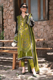 Mehndi Green Traditional Embroidered Pakistani Salwar Kameez Dupatta
