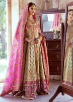 Multi Color Embroidered Huge Flare Pishwas Pakistani Wedding Dress
