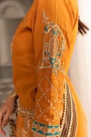 Mustard Orange Embroidered Pakistani Pishwa Dupatta Party Dress