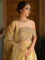 Stunning Pakistani Bridal Dress with Zardozi Embroidery