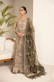 New Blackish Embroidered Dusty Skin Pakistani Salwar Kameez with Dupatta