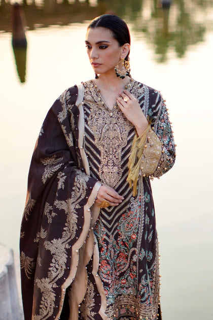 Luxury Brown Embellished Long Pakistani Salwar Kameez Suit – Nameera by ...
