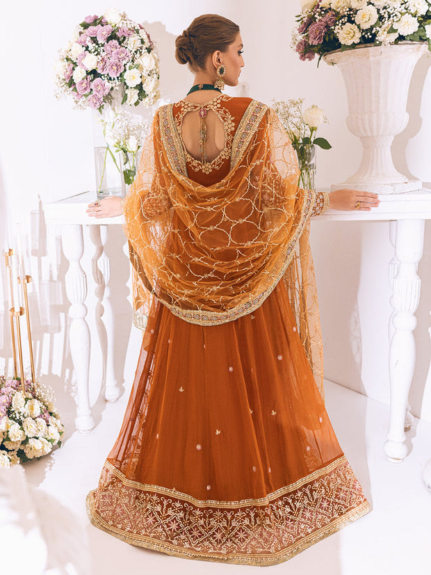 New Caramel Heavily Embellished Pakistani Wedding Dress Pishwas Frock