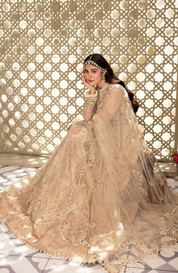 New Classic Silver Heavily Embellished Pakistani Wedding Dress in Pishwas Style 2023