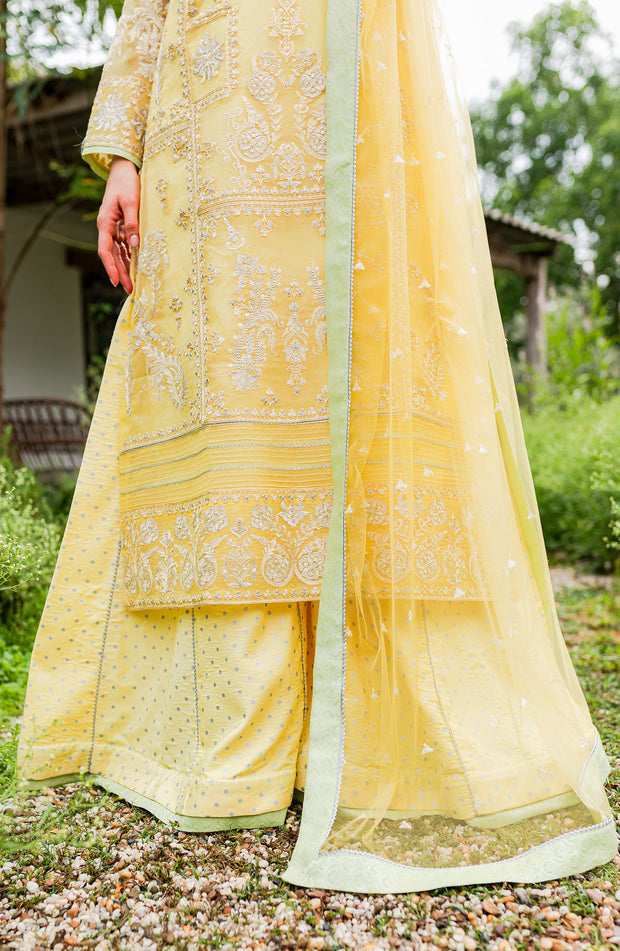 nEW Classic Yellow Embroidered Pakistani Salwar Kameez in Plazo Style