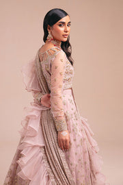 ew Elegant Baby Pink Embroidered Pakistani Wedding dress Lehenga Choli 2023
