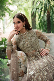 New Elegant Pakistani Wedding Dress Embroidered Olive Pishwas Style Frock