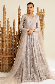 New Elegant Silver Thorn Pakistani Wedding Dress Pishwas Frock Style 2023