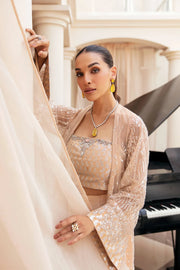 New Elegant Skin Embroidered Pakistani Wedding Dress in Gown Trousers Style 2023