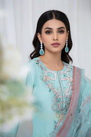 New Elegant Sky Blue Embroidered Pakistani Salwar Kameez Dupatta Suit