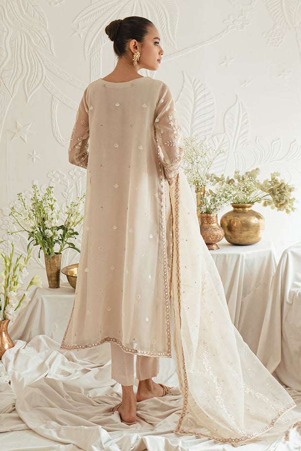 New Elegantly Embellished Dusty Brown Pakistani Salwar Kameez Dupatta