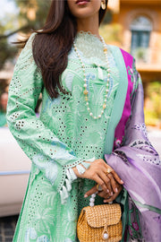 New Embroidered Classic Pakistani Salwar Kameez Suit in Apple Green Shade