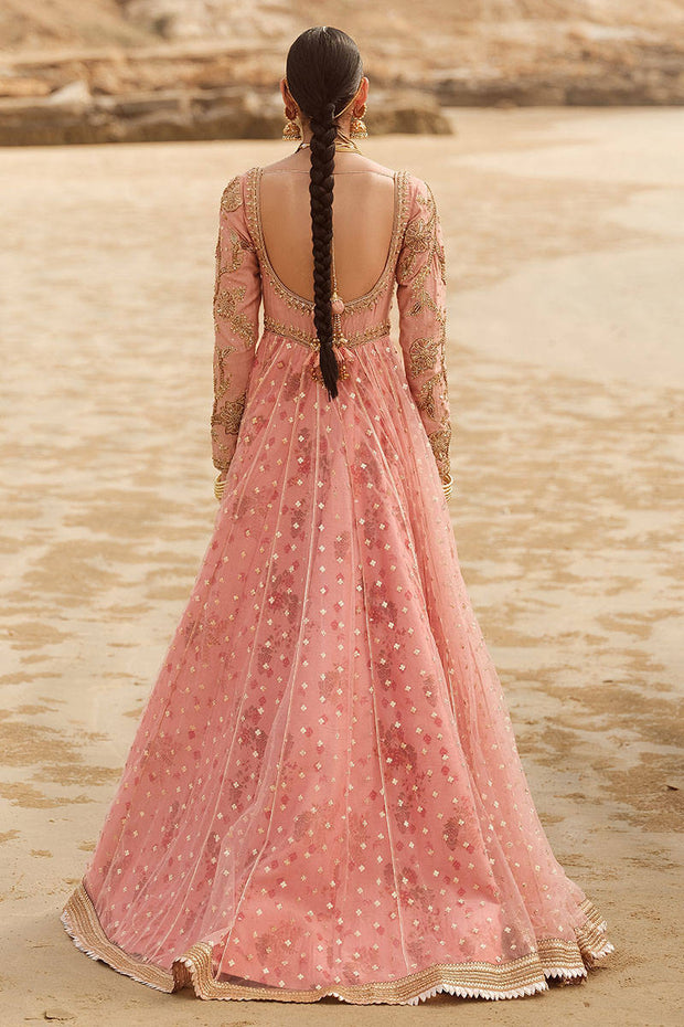New Embroidered Tea Pink Elegant Pakistani Wedding Wear Pishwas Frock 2024