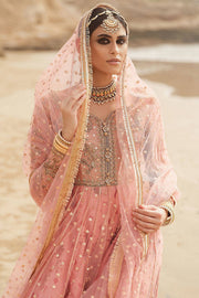 New Embroidered Tea Pink Elegant Pakistani Wedding Wear Pishwas Frock