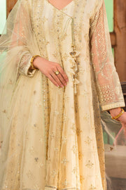 New Gold White Heavily Embellished Angrakha Style Pakistani Party Dress