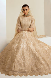 New Heavily Embellished Pakistani Wedding Dress Beige in Pishwas Style