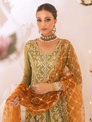 New Heavily Embellished Pakistani Wedding Dress in Mehndi Green Pishwas