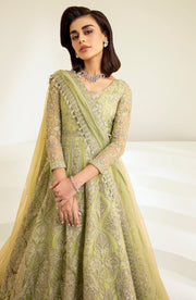New Heavily Embellished Pakistani Wedding Dress in mint Green Pishwas Style 2023
