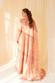 New Heavily Embellished Peach Pakistani Pishwas Dupatta Wedding Dress