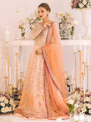 Heavily Embellished Peach Pakistani Wedding Dress Pishwas Lehenga