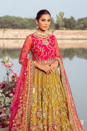 New Heavily embellished Pakistani Wedding Dress in Lehenga Choli Style