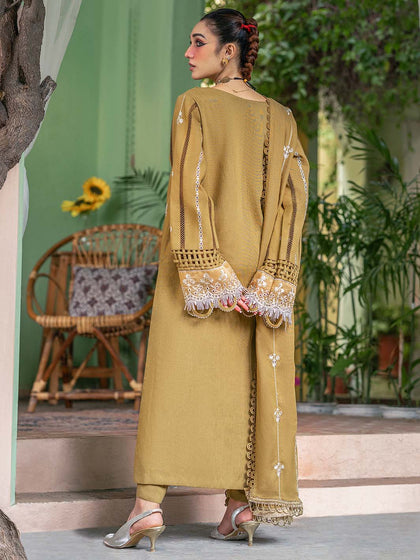 New Luxury Net Skin Embroidered Pakistani Salwar Kameez Style Salwar Suit