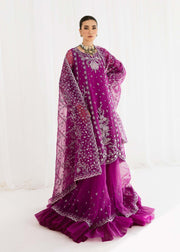 ew Luxury Embroidered Pakistani Wedding Dress in Huge Flare Pishwas Style