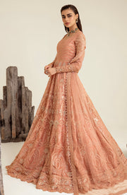 New Luxury Tea Pink Embroidered Pakistani Wedding Dress Pishwas Frock 2023