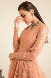 New Luxury Tea Pink Embroidered Pakistani Wedding Dress Pishwas Frock