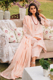 New Pakistani Salwar Suit in Pastel Pink Embroidered Salwar Kameez 2023