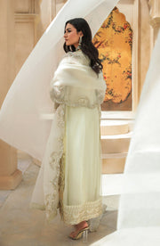 New Pearl Golden Embroidered Pakistani Long Kameez Wedding Dress