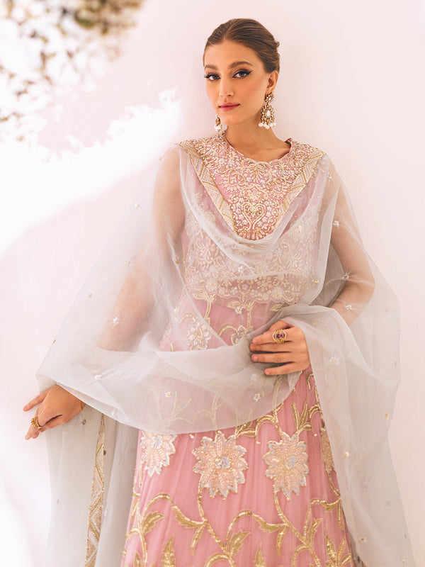 New Pink Heavily Embellished Pakistani Wedding Dress Pishwas Frock