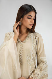 New Royal Beige Shade Straight Shirt Style Luxury Pret Pakistani Salwar Suit