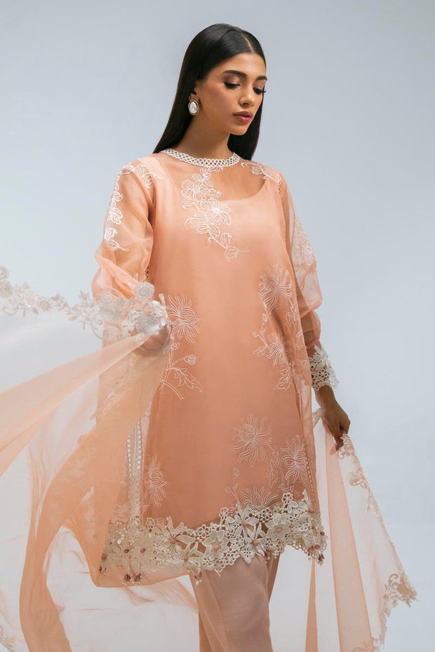 New Salmon Pink Organza Straight Shirt Luxury Pret Pakistani Salwar Kameez