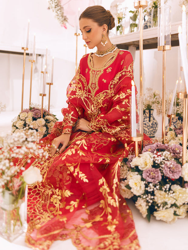 New Shocking Pink Embroiered Gown Style Pishwas Pakistani Wedding Dress