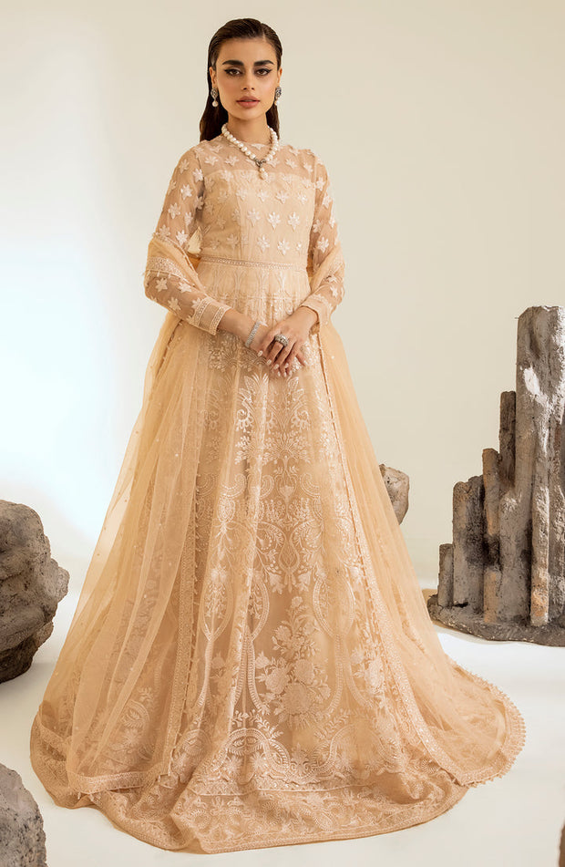 New Skin Embroidered Pakistani Wedding Dress in Elegant Pishwas Frock Style